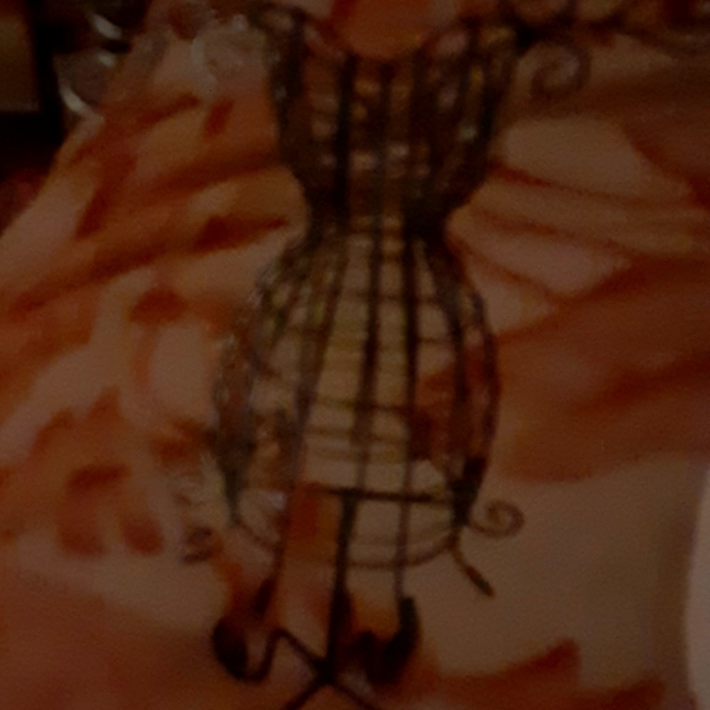 A earring holder